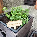Sumavsky Grunt Podmokly