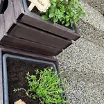 Sumavsky Grunt Podmokly